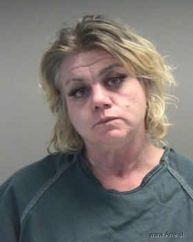 Amber Dawn Johnson Mugshot