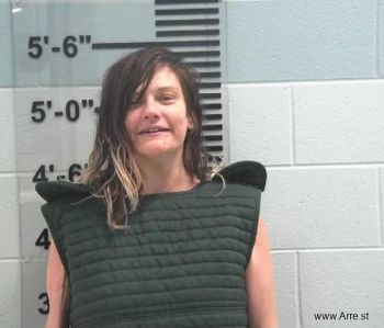 Amber Renee Norris Mugshot