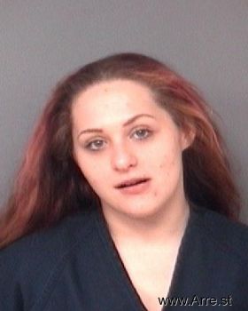 Amber Nicole Nowicki Mugshot