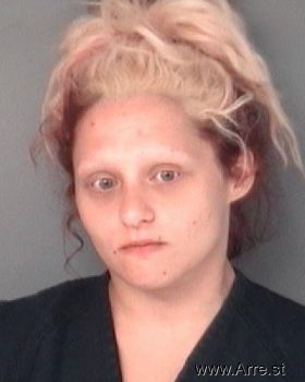 Amber Nicole Nowicki Mugshot