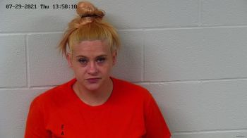 Amber Nichole Robinson Mugshot