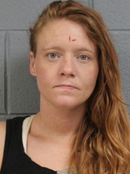 Amber Dawn Williams Mugshot