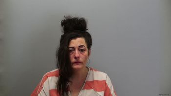 Amiee Lee Nelson Mugshot