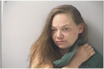 Amy L Braatz Mugshot