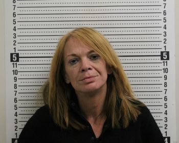 Amy Linnett Bray Mugshot