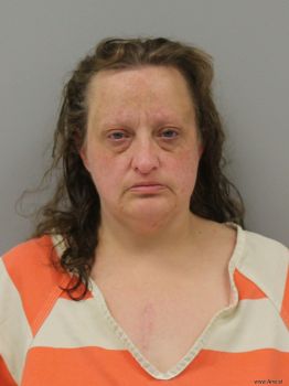 Amy Sue Cain Mugshot