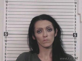 Amy L Holderman Mugshot