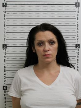 Amy Lynn Holderman Mugshot