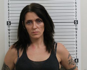 Amy Lynn Holderman Mugshot