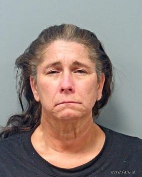 Amy Christine Johnson Mugshot