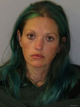 Amy Gene Miller Mugshot