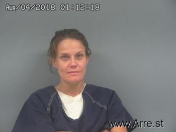 Amy Elizabeth Shannon Mugshot