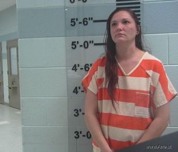 Amy Renee Strawser Mugshot