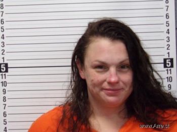 Amy Arlene Wellmerling Mugshot