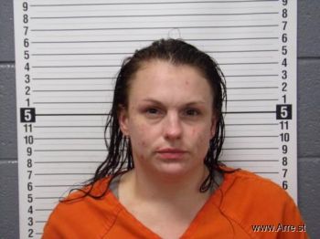 Amy Arlene Wellmerling Mugshot