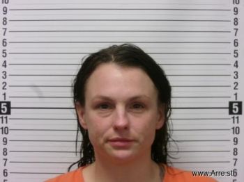 Amy Arlene Wellmerling Mugshot