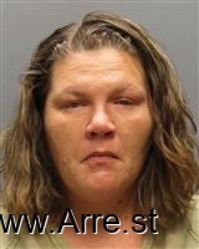 Amy L Williams Mugshot