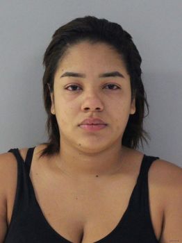 Ana Jorgielys Brito Brito Mugshot