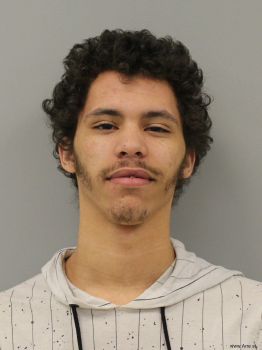 Andre Devante David Jr Mugshot