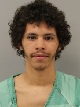 Andre Devante David Jr Mugshot