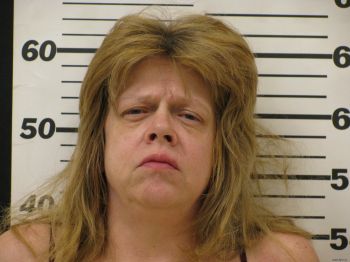 Andrea M Elliott Mugshot