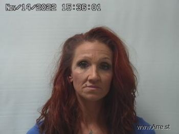 Andrea  Hayslip Mugshot