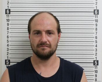 Andrew B Reynolds Mugshot