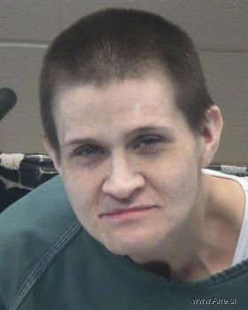 Angela Lynn Hendricks Mugshot