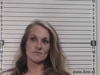 Anita Rachael Snyder Mugshot