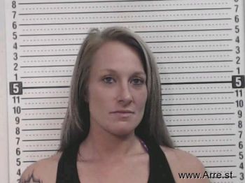 Anita Rachael Snyder Mugshot