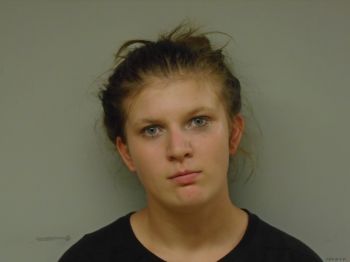 Ann Elise Moss Mugshot