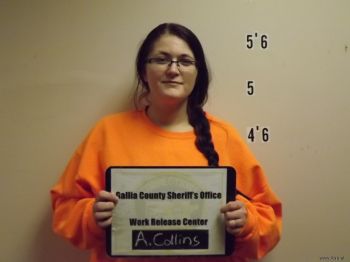 Annamarie  Collins Mugshot