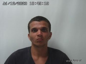 Anthony  Hodges Mugshot