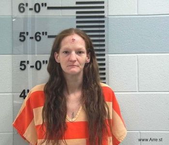 April Susan Hillier Mugshot