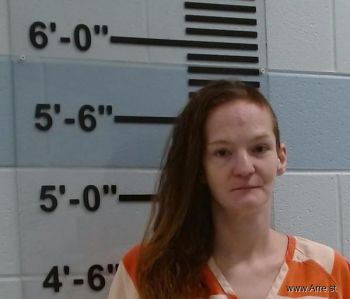 April Susan Hillier Mugshot