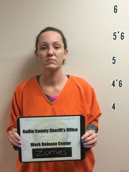 April  Zornes Mugshot