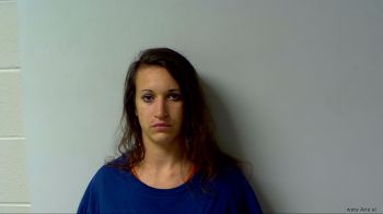 Ashley Marie Collins Mugshot