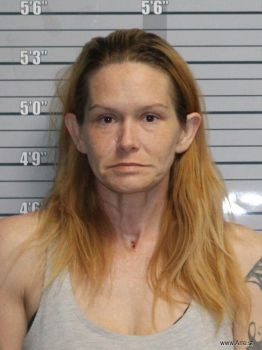 Ashley Nicole Echler Mugshot