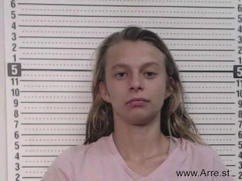 Ashley J Jenkins Mugshot