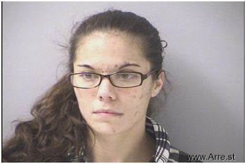 Ashley Marie Johnson Mugshot