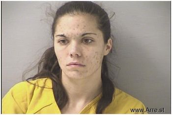 Ashley Marie Johnson Mugshot