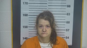 Ashley  Kinnison Mugshot