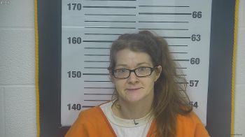 Ashley  Kinnison Mugshot