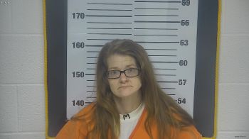 Ashley  Kinnison Mugshot