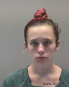 Ashley Evalyn Lee Mugshot