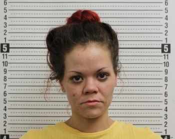 Ashley B Lewis Mugshot