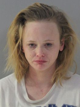 Ashley Marie Lipp Mugshot