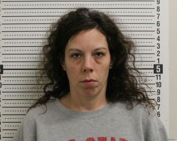 Ashley M Lunsford Mugshot