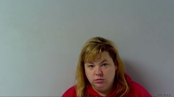 Ashley Marie Novotney Mugshot