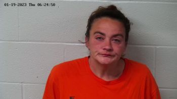 Ashley Dawn Shepherd Mugshot